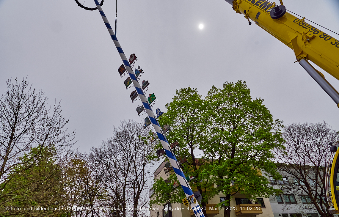 01.05.2023 - Maibaumaufstellung in Berg am Laim